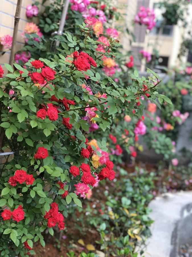 Emei Mountain Xileer Hotel Emeishan Εξωτερικό φωτογραφία