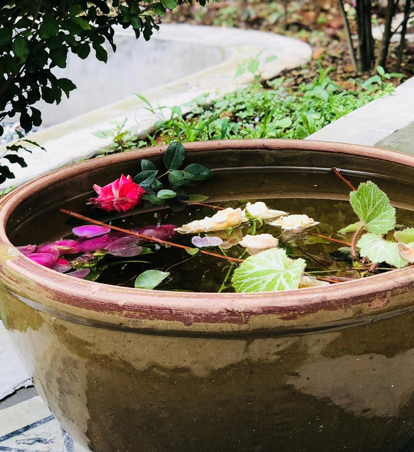 Emei Mountain Xileer Hotel Emeishan Εξωτερικό φωτογραφία